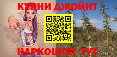 мяу мяу мука Аргун