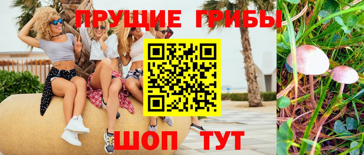 магазин    Псилоцибиновые грибы MAGIC MUSHROOMS  Белово  Вход с VPN  Псилоцибиновые грибы Psilocybine cubensis 